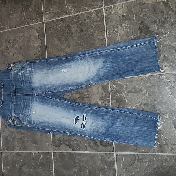 🌷American Eagle Distressed Overalls - Picture 5 of 11